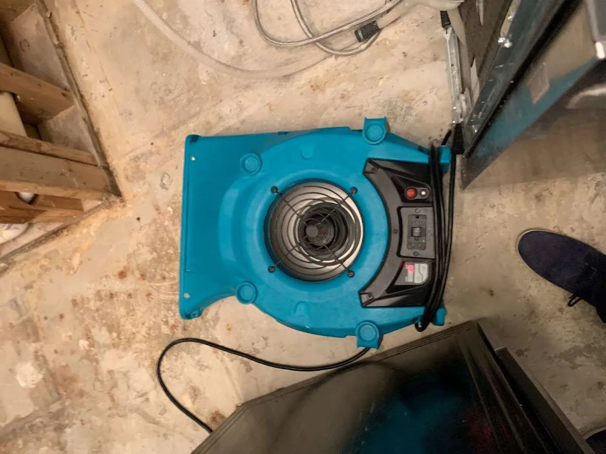 Air mover drying equipment for Mold Remediation & Removal in Bear Valley Springs